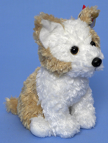 Corky - Norfolk terrier dog - Ty Beanie Baby