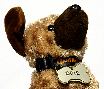 Odie's dog tag