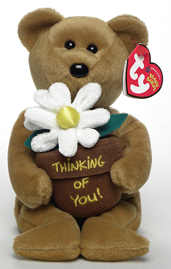 You're Special - Bear - Ty Beanie Babies