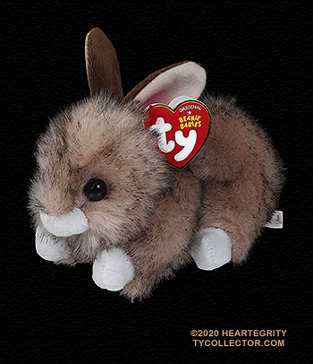 Buster - bunny rabbit - Ty Beanie Babies