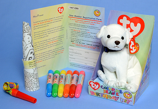 Color Me Beanie dog Birthday Kit contents