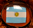 Champion - Argentina - flag nose