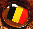 Champion - Belgium - flag nose