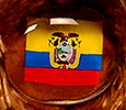 Champion - Ecuador - flag nose