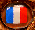 Champion - France - flag nose
