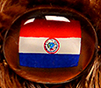 Champion - Paraguay - flag nose