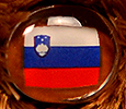Champion - Slovenia - flag nose
