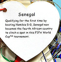 Champion - Senegal - swing tag inside right