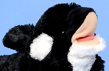Fin (SeaWorld) - orca - Ty Beanie Babies