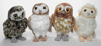 Owls from Legend of the Guardians - The Owls of Ga'Hoole