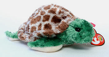 Tortuga - turtle - Ty BBOM Beanie Baby