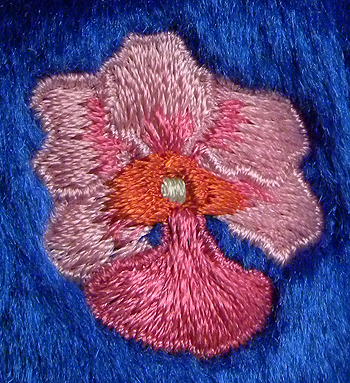 Vanda - flower detail