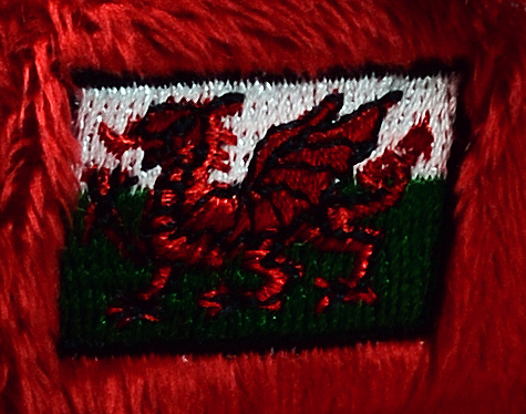 Wales - closeup of chest embroidery