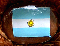 Flag nose on Champion Buddy - Argentina