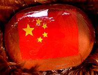 Flag nose on Champion Buddy - China