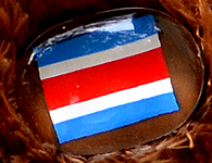 Flag nose on Champion Buddy - Costa Rica