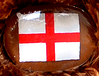 Flag nose on Champion Buddy - England