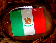 Flag nose on Champion Buddy - Mexico