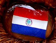 Flag nose on Champion Buddy - Paraguay
