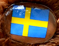 Flag nose on Champion Buddy - Sweden